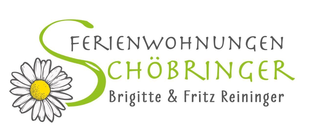 Ferienwohnungen Schobringer Weyregg am Attersee Zewnętrze zdjęcie