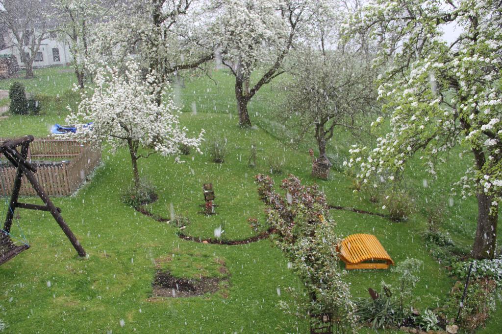 Ferienwohnungen Schoebringer Weyregg am Attersee Zewnętrze zdjęcie